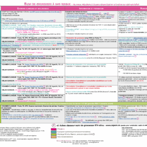Tableau suivi de grossesse (sous-main plastifié)